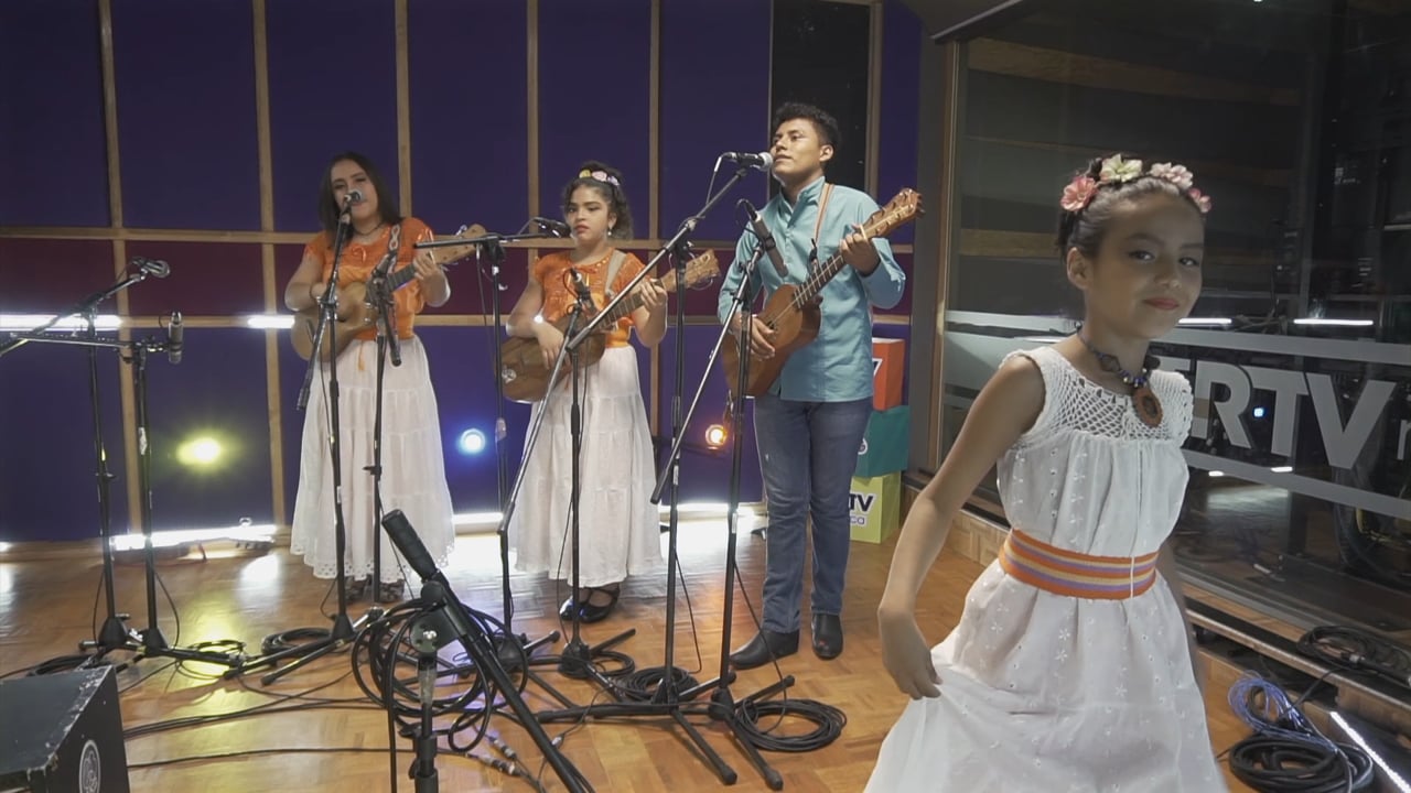 Son de Luna Ayotl - Los Cuiles