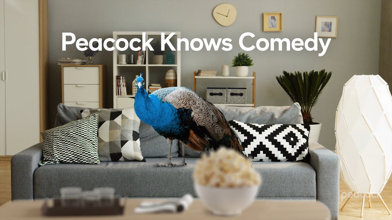 Peacocks Watching Peacocks - Parks and Rec