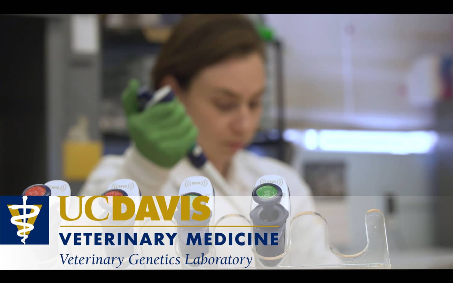UC Davis Veterinary Laboratory on Vimeo