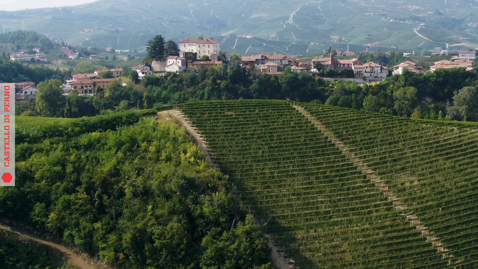 Castello di Perno | I vigneti tra Serravalle Langhe e i nuovi impianti di Castelletto di Monforte d'Alba | The vineyards between Serravalle Langhe and the new plantings in Castelletto di Monforte d'Alba