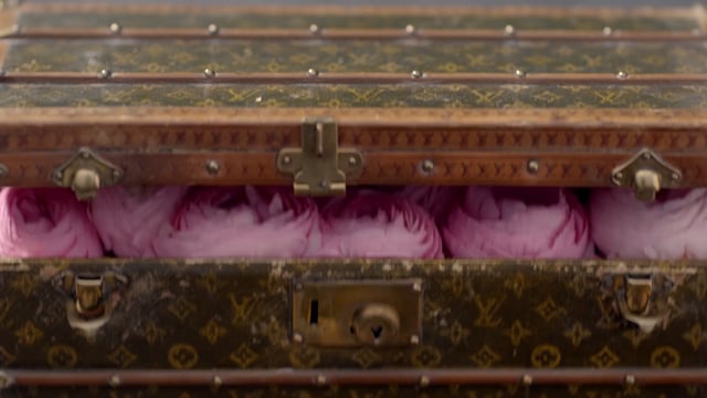 deVine Voices Native French Female Voiceover Louis Vuitton Documentary Narration