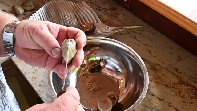 How To Shuck Clams 