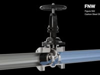 FNW® Figure 552 2 in. 300# RF FLG WCB T8 Gate Valve Carbon Steel Body, Trim 8, Bolted Bonnet FNW552K at Pollardwater