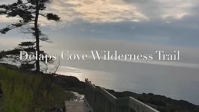 Delaps cove wilderness discount trail