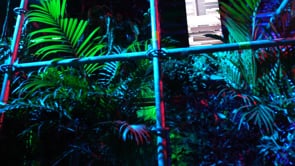 Horizonte Utópico - 2019 - BIJARI