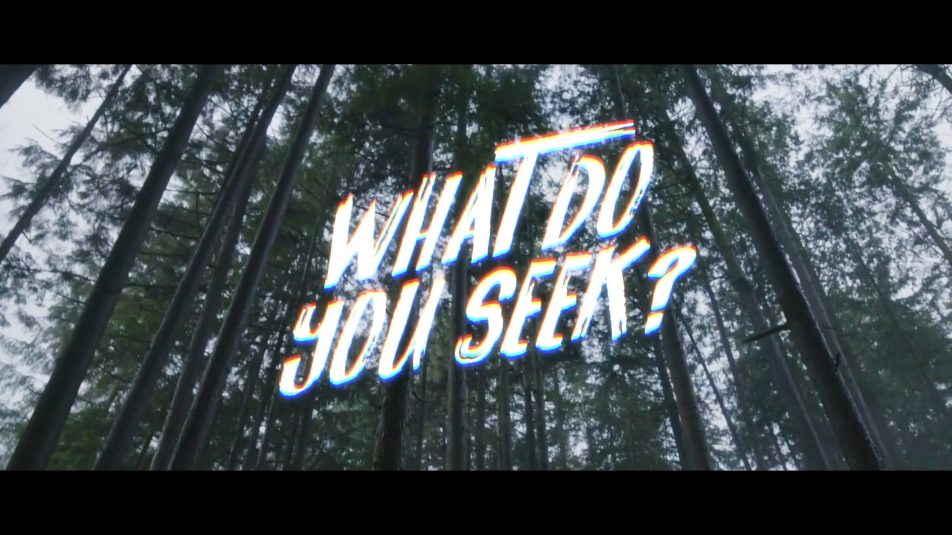 The Search  Episode 1 Trailer