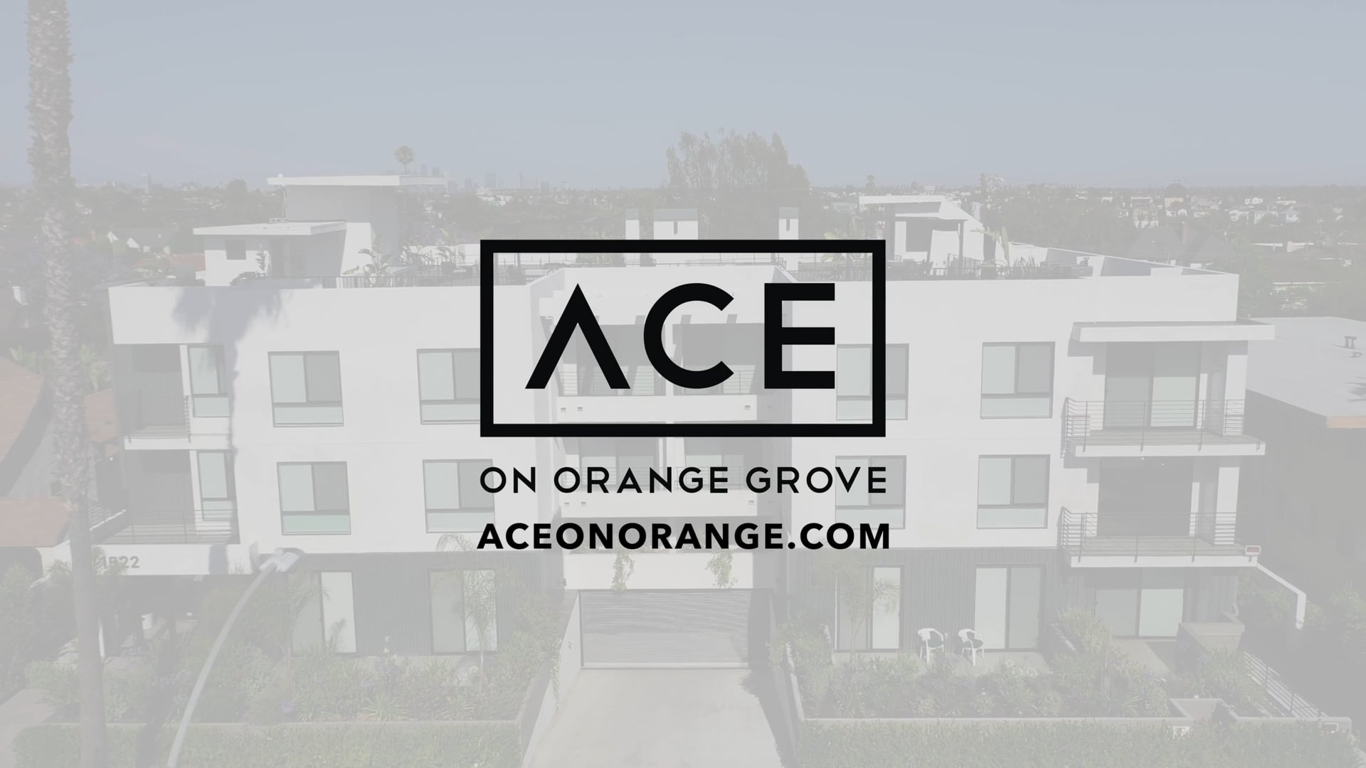 Ace on Orange