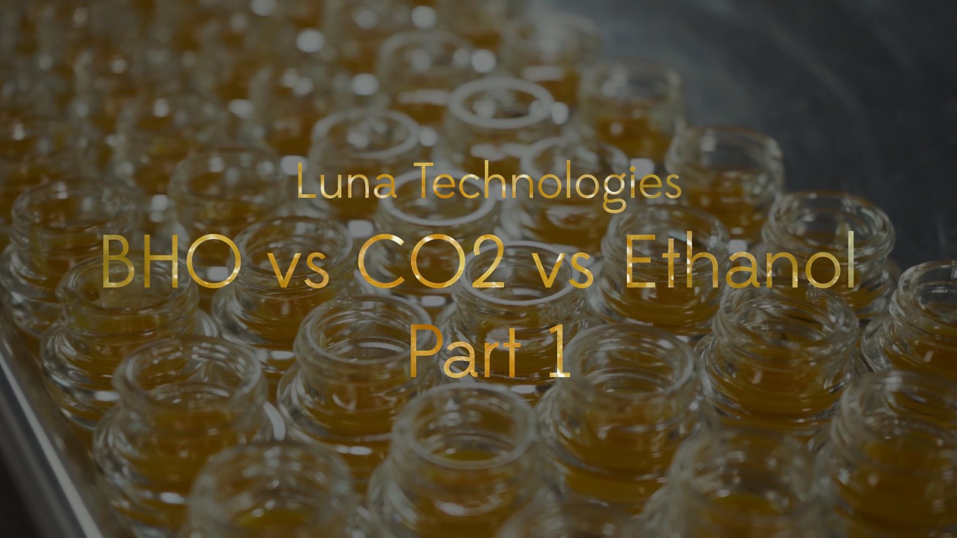 Luna Technologies - BHO vs CO2 vs Ethanol (Part 1)