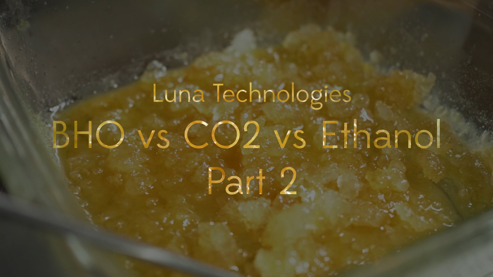 Luna Technologies - BHO vs CO2 vs Ethanol (Part 2)
