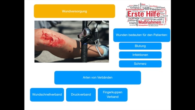 Modul 3 - Verätzungen Vergiftungen