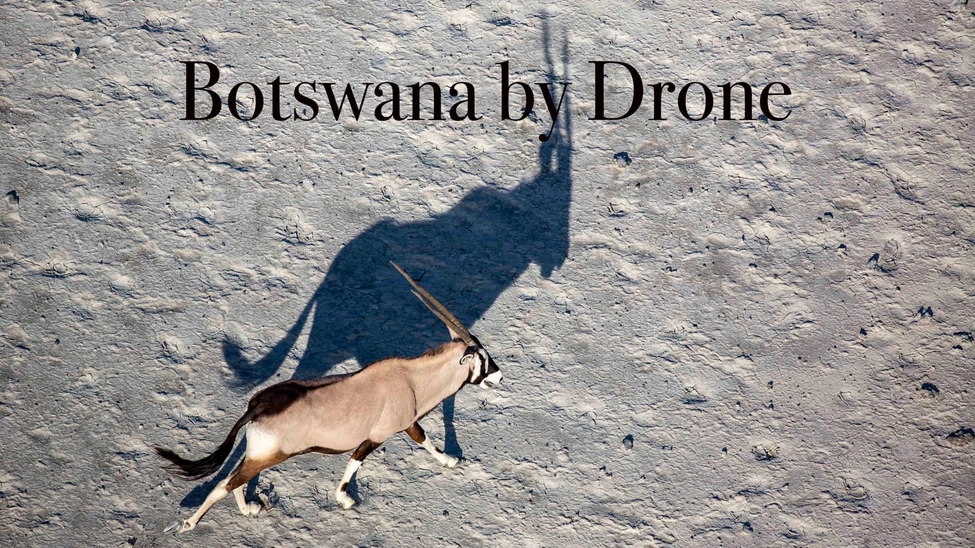 Botswana by Drone An Aerial Celebration of Botswana's Wildlife and