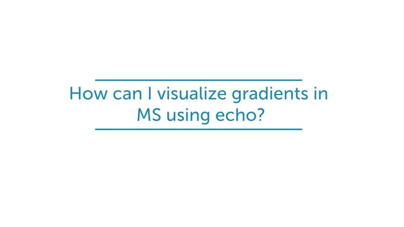 How can I visualize gradients in MS using echo?