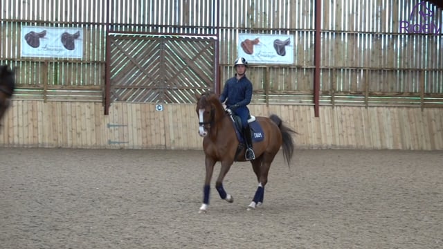 Influencing the canter