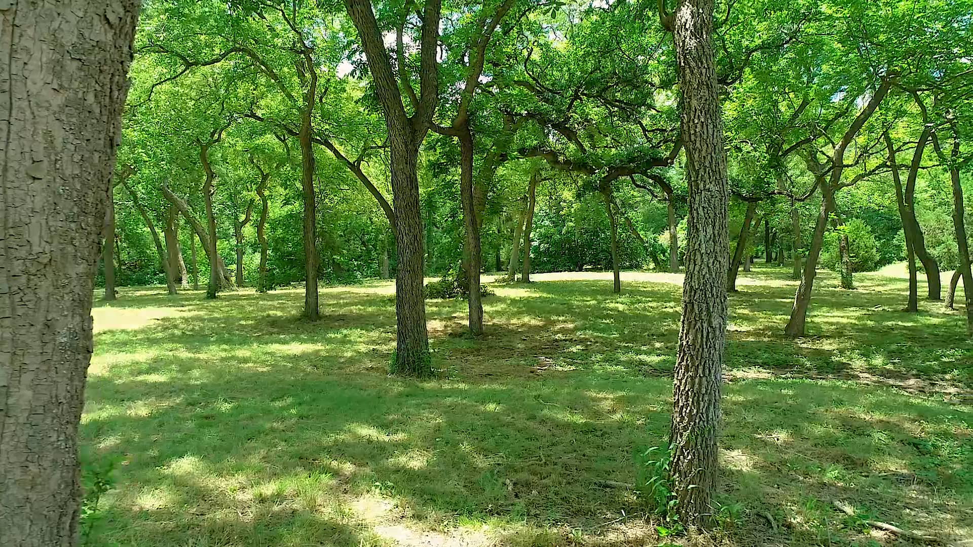 Lot 425A Valentine Ranch, Helotes, TX 78023 on Vimeo