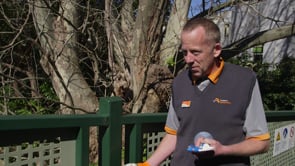 A day in the life of a CSA at Roseville Station