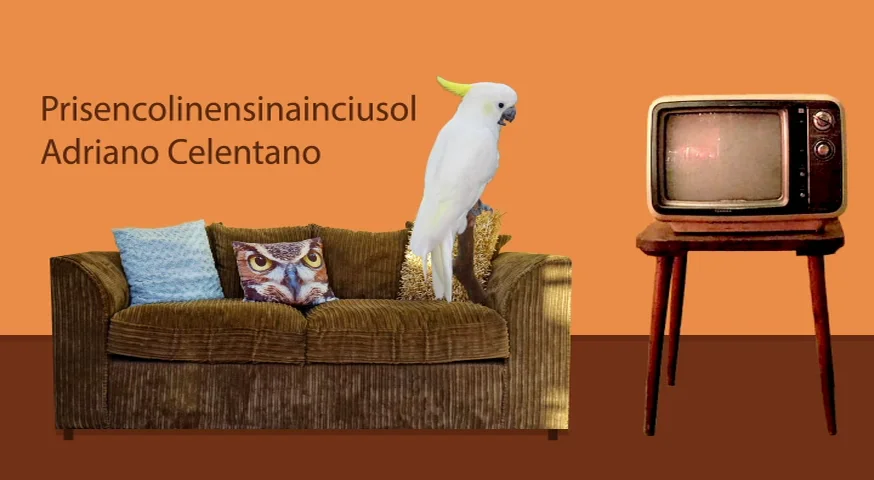 prisencolinensinainciusol-music-video-on-vimeo