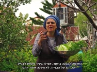 גינת הפרמקלצ'ר של טליה שניידר