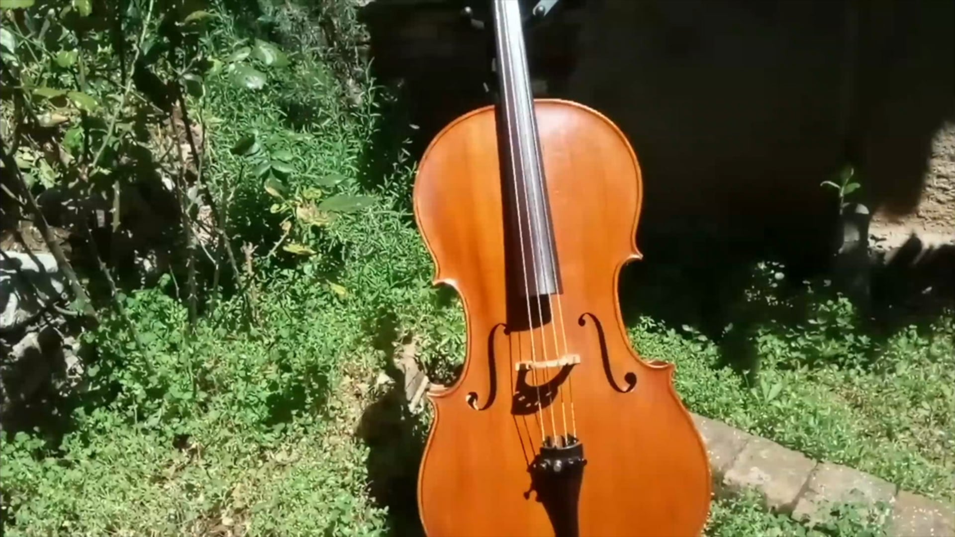 Presentació Violoncel