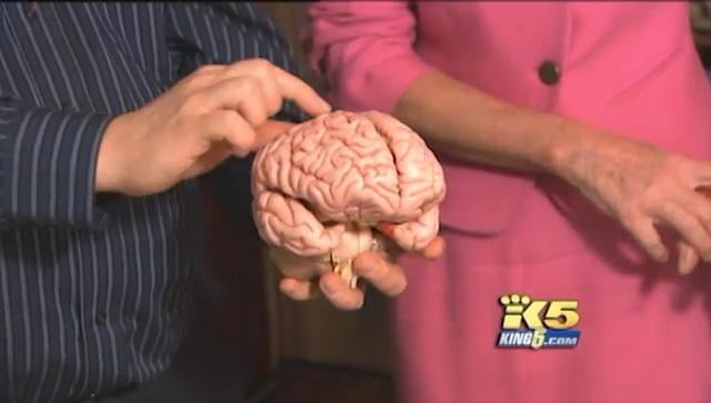 John Medina Interview