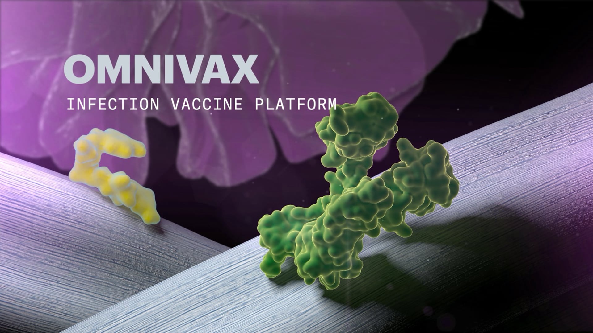 OMNIVAX: Infection Vaccine Platform