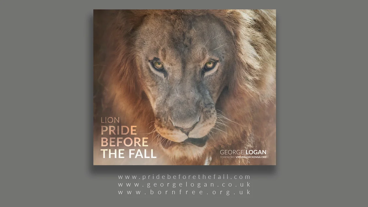 Lion pride before the fall ライオン写真集 George Logan - Lion: Pride Before the Fall | Horton-Stephens