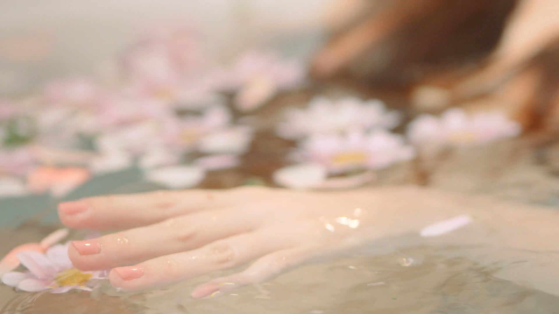 SAUGELLA - Femminile singolare (Commercial)