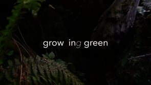 grow in(g) green