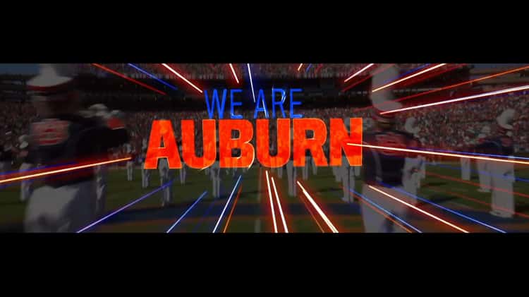 War Eagle Banner