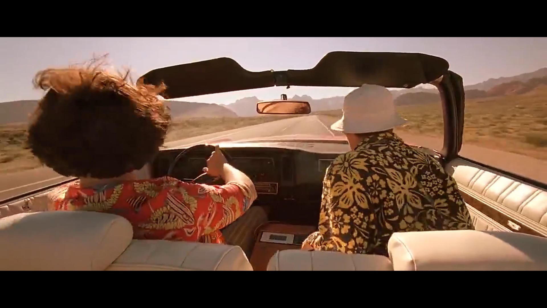 Fear and Loathing in Las Vegas & Where the Buffalo Roam