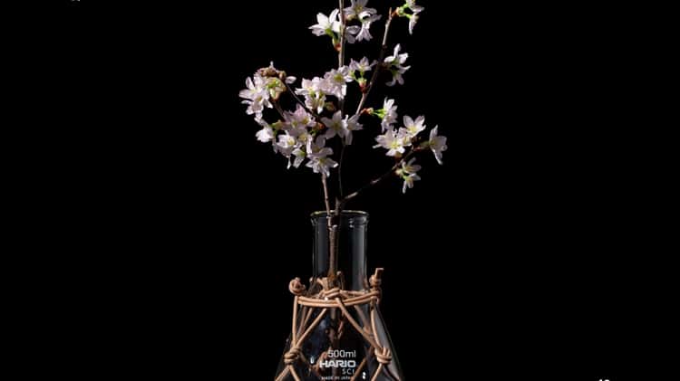 Hender Scheme science vase：化瓶 02