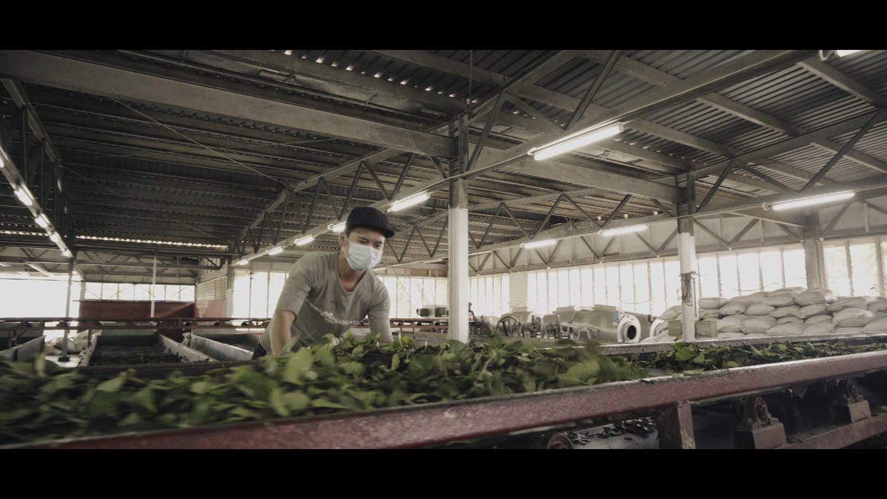 Yee Lee Group appreciation film