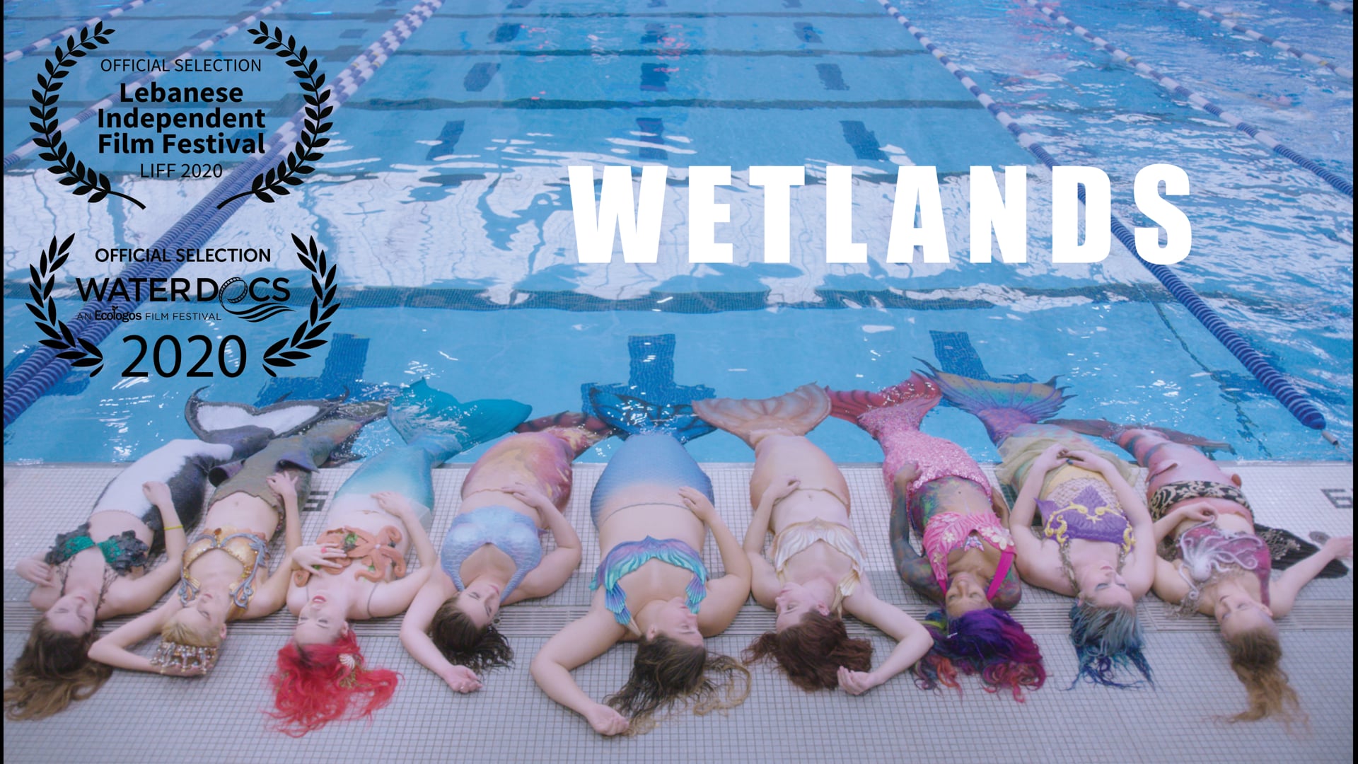 Wetlands