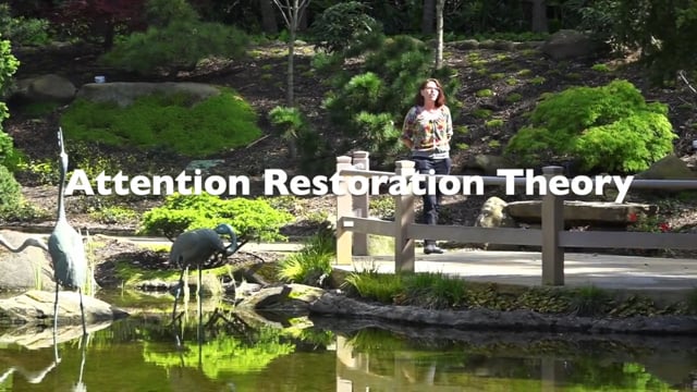 Attention Restoration Theory