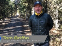 What to do if you encounter a bear