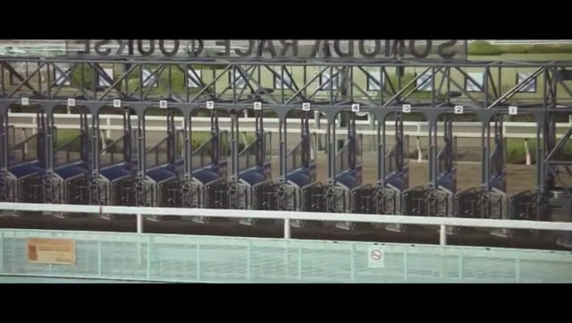 園田競馬 02
