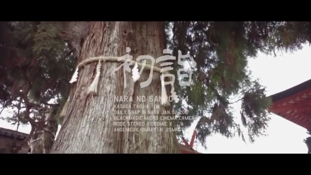 初詣 春日大社 04