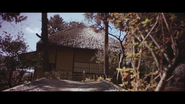 京の散歩 11