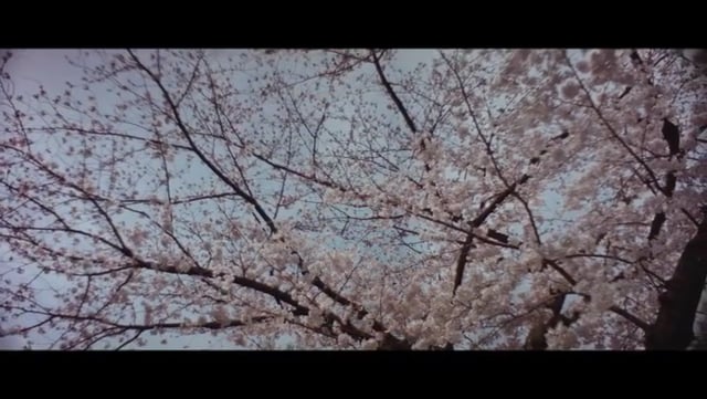 京の散歩 13