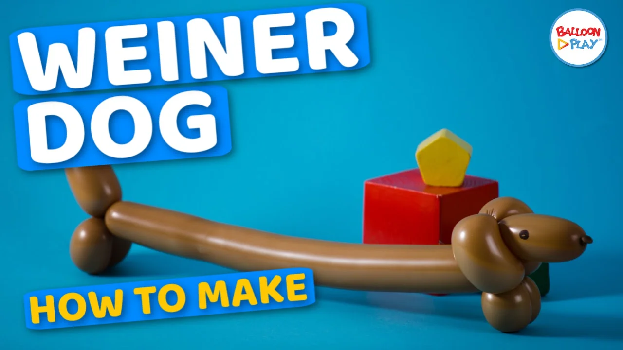 How to Make a Dog Balloon Animal