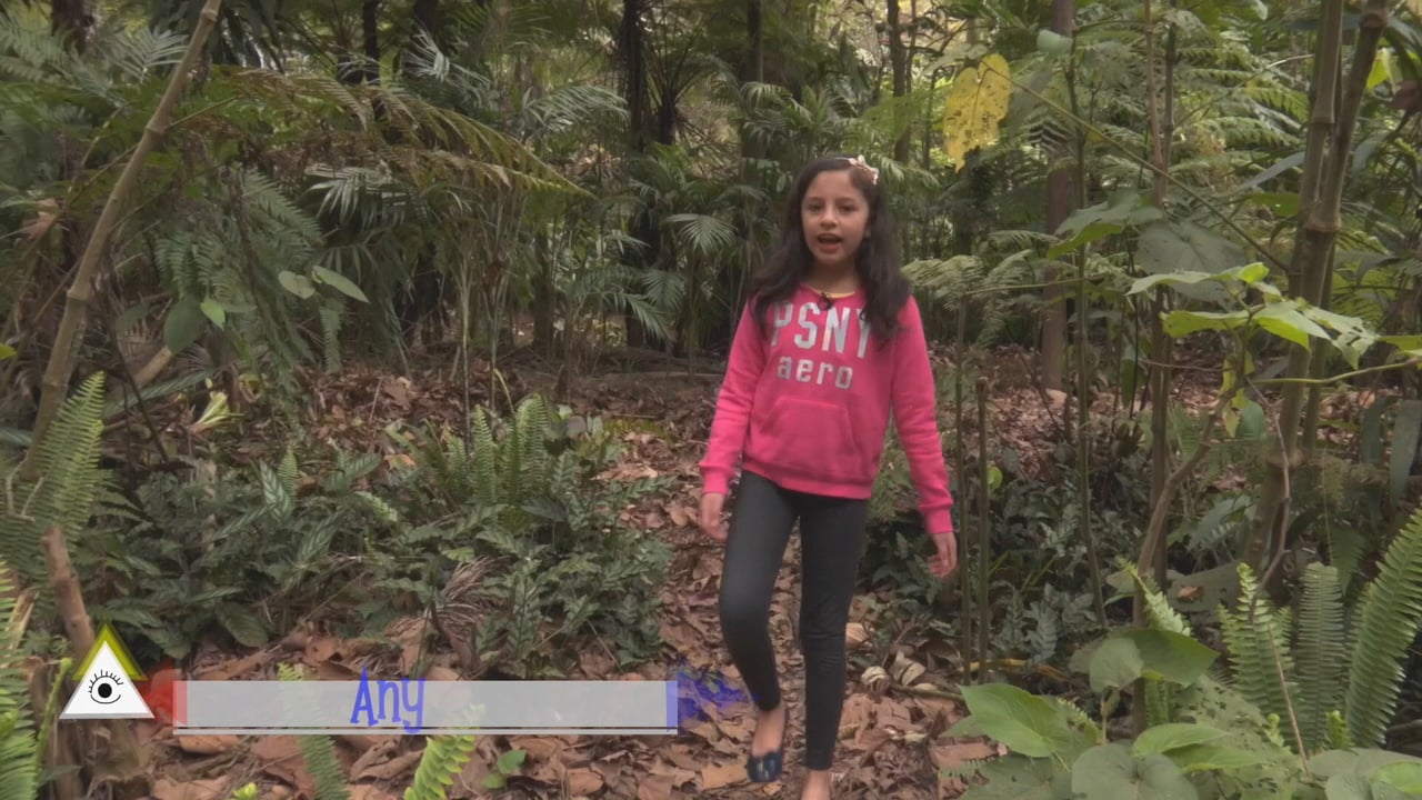 El Bosque
