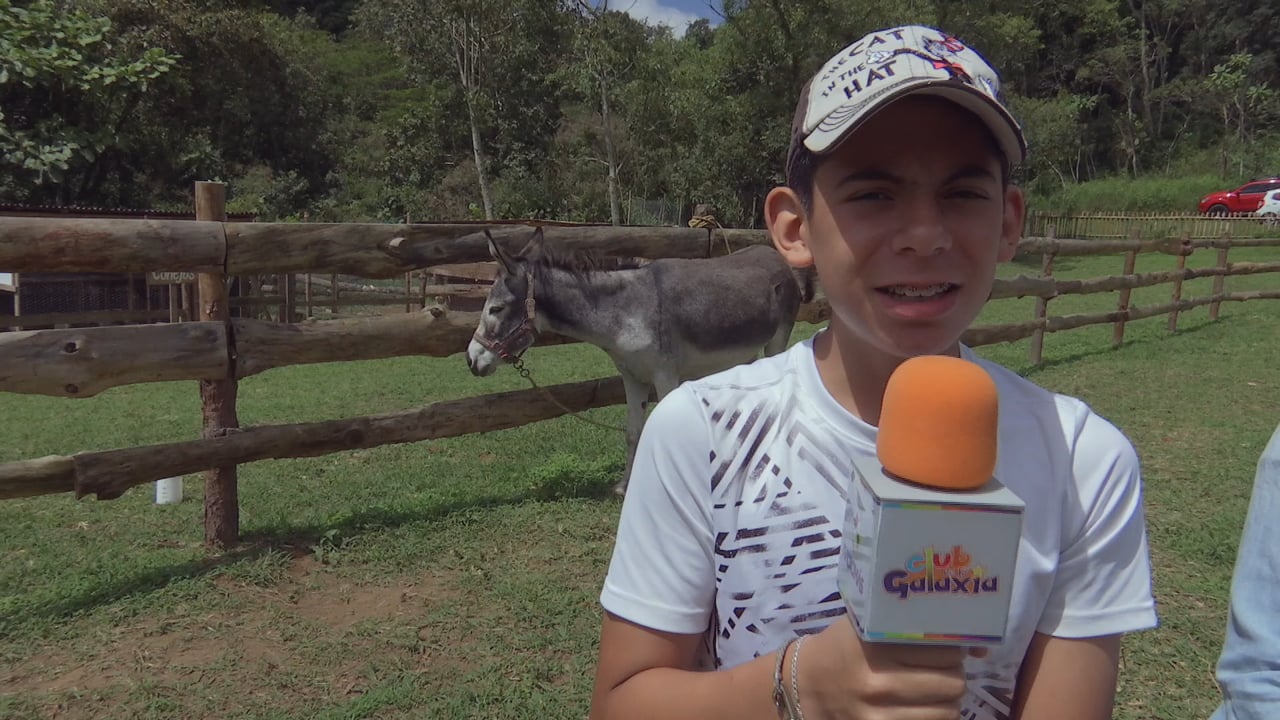 Biogranjita: Burro