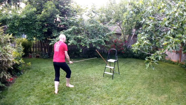 Cut Short Thrust | LS Solo