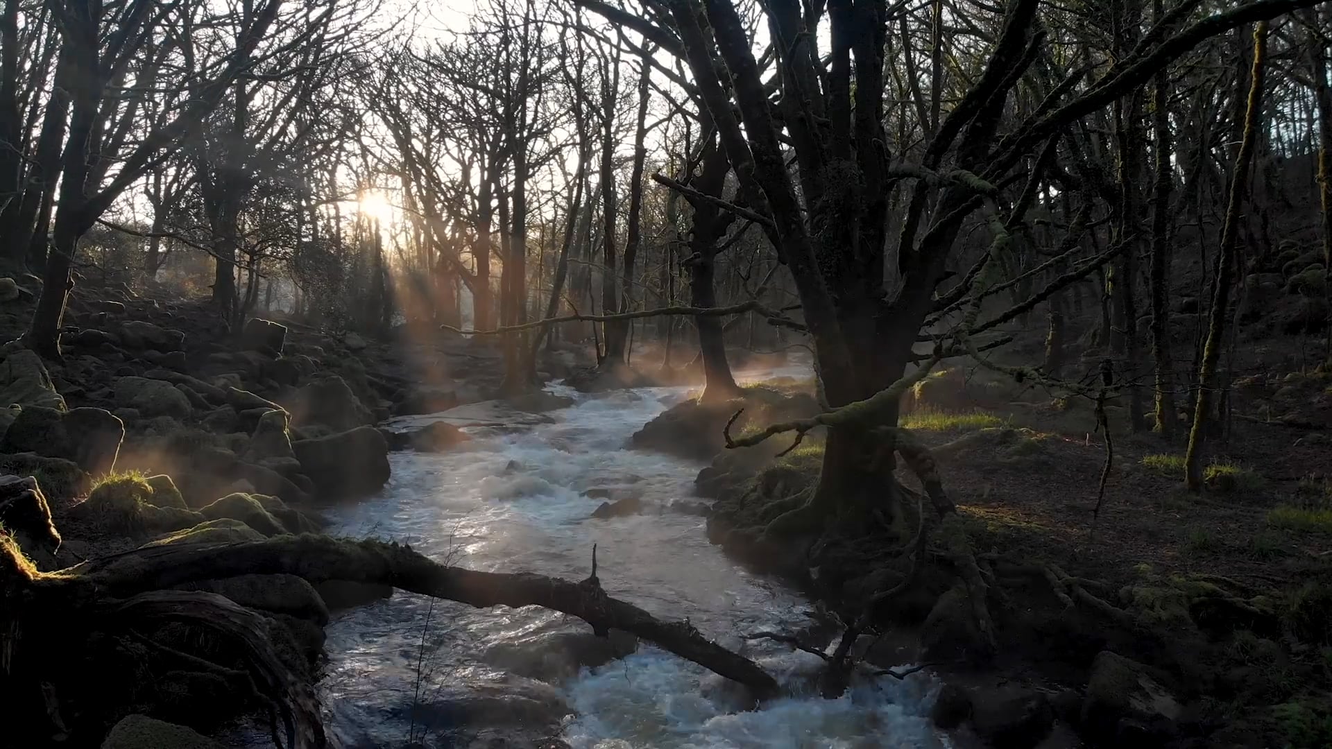 Beneath the Flow