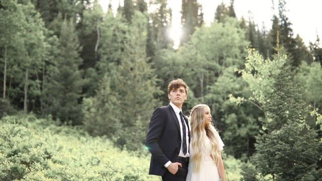 Tolman Media Michigan Videographers The Knot