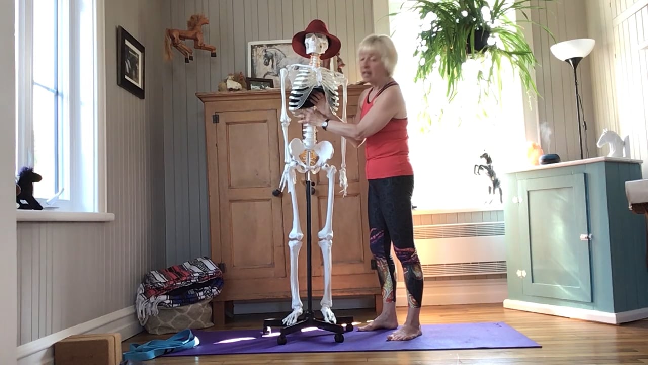3. Yoga Anatomie - Détendre le diaphragme avec Esther Bouchard (33min)