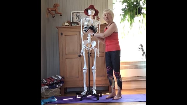 Yoga Anatomie - Détendre le diaphragme