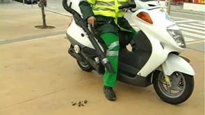 Bon resultat de la campanya anticaques de gos