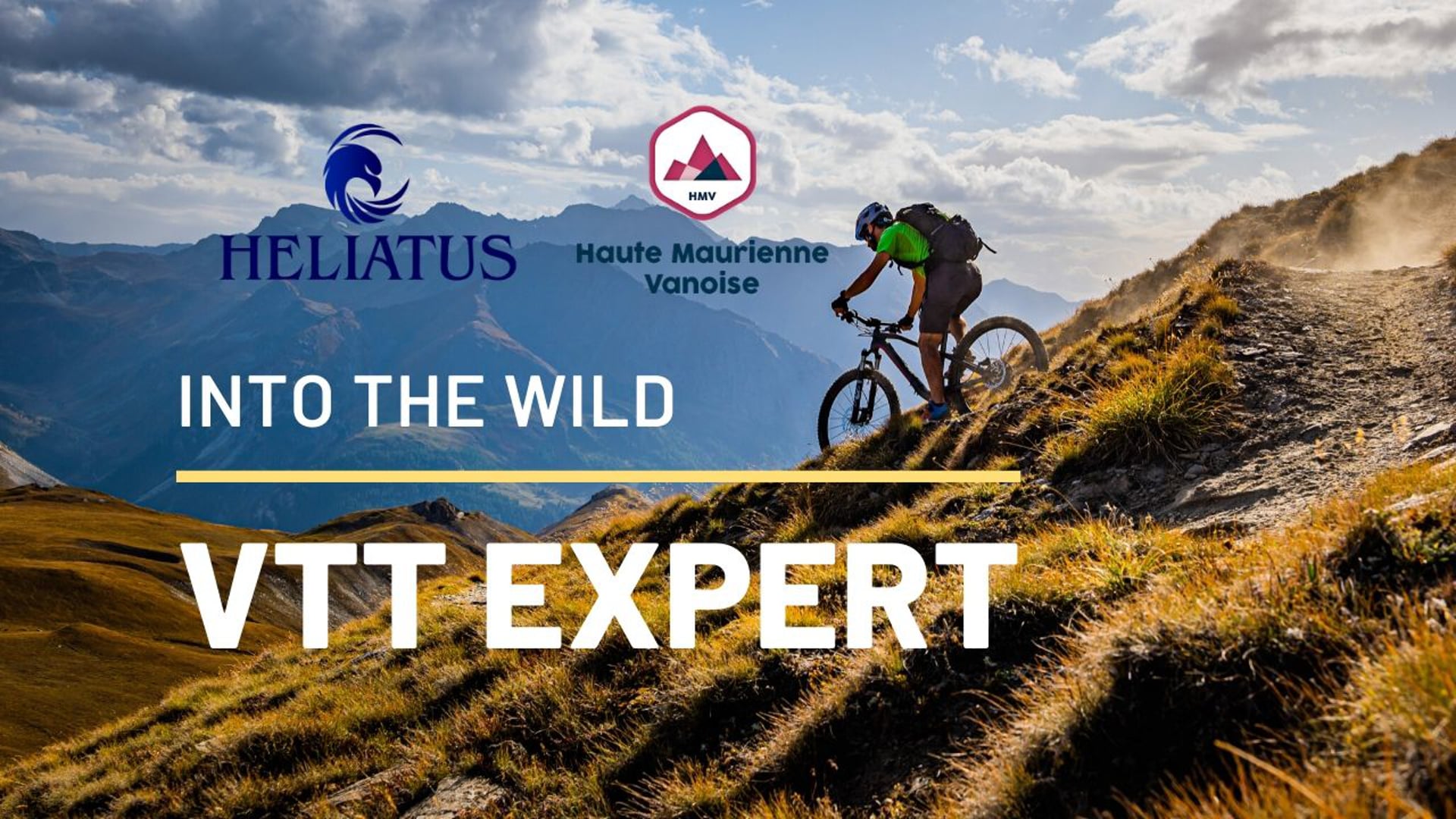 Into the wild - VTT Expert