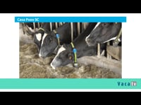 José Antonio Fernández Pozo. Casa Pozo SC (Lugo)