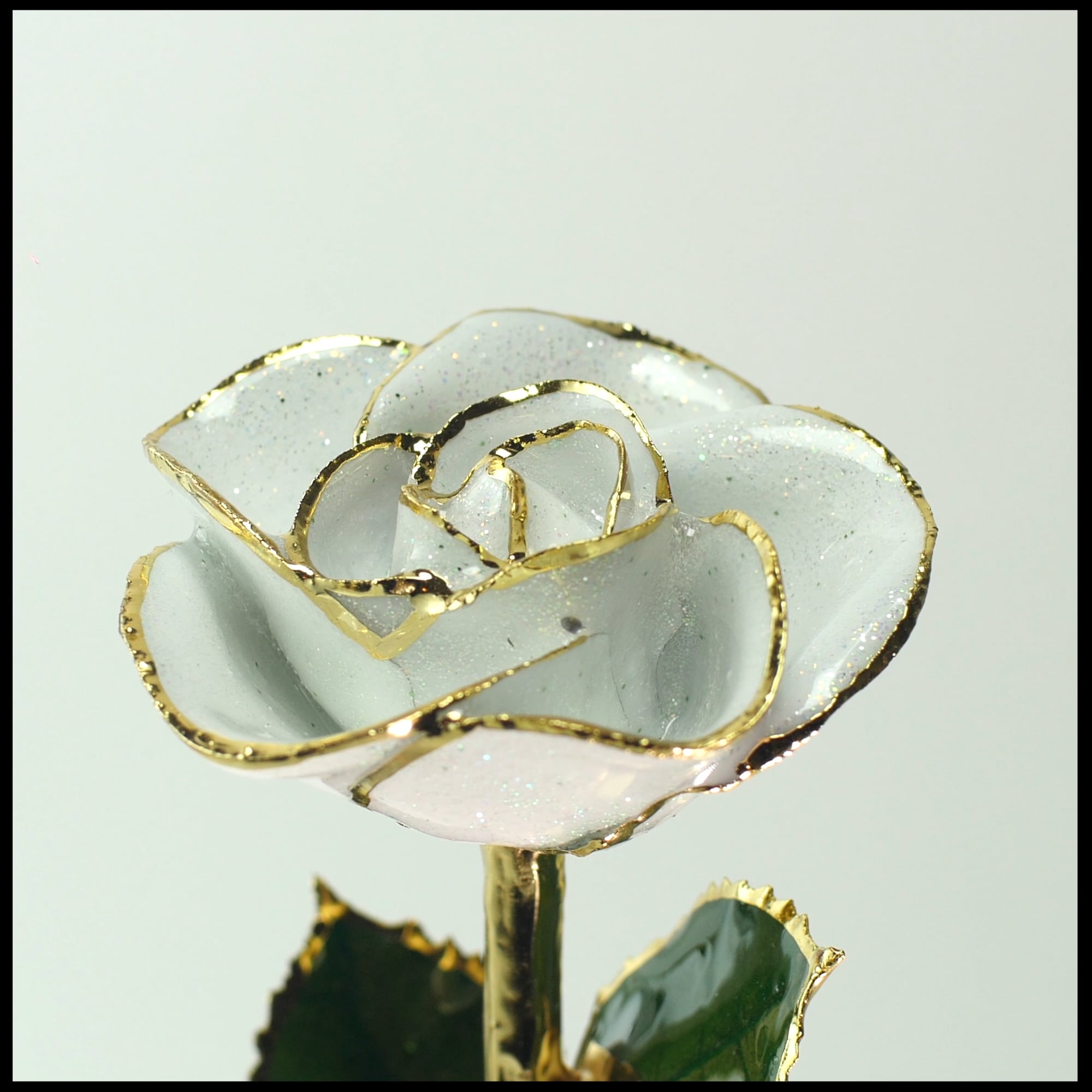 Steven Singer's Frozen 24kt Gold Dipped Rose on Vimeo